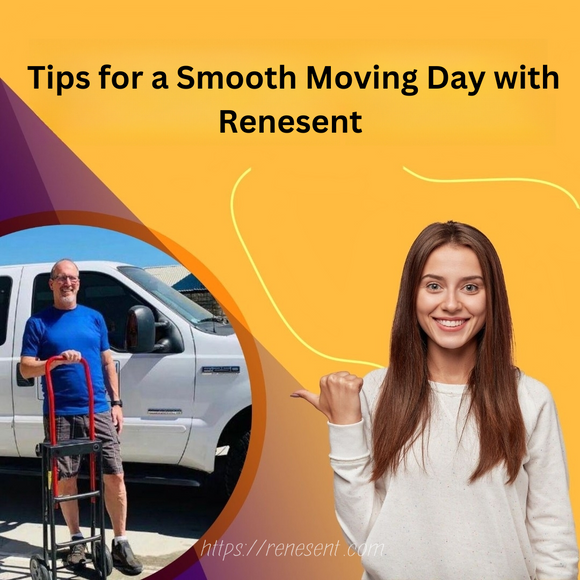 Mastering the Art of Organization: Tips for a Smooth Moving Day with Renesent